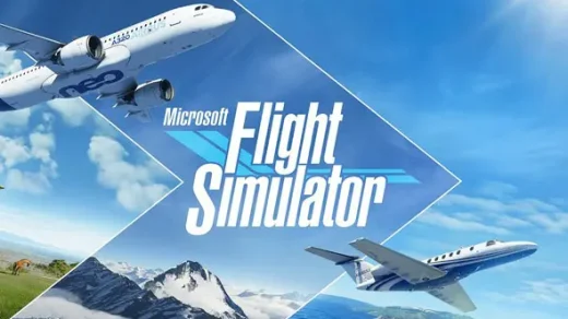 flight simulator